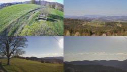 Sdružený snímek Bludný