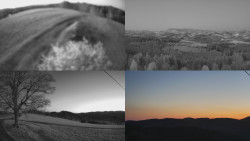 Sdružený snímek Bludný