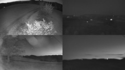 Sdružený snímek Bludný