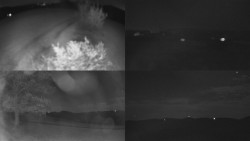 Sdružený snímek Bludný