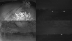 Sdružený snímek Bludný