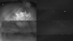 Sdružený snímek Bludný