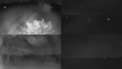 Sdružený snímek Bludný