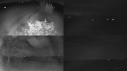 Sdružený snímek Bludný