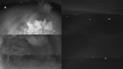 Sdružený snímek Bludný