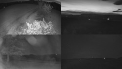 Sdružený snímek Bludný