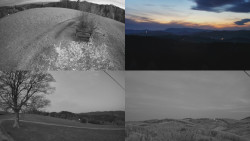 Sdružený snímek Bludný