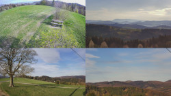 Sdružený snímek Bludný