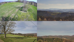 Sdružený snímek Bludný