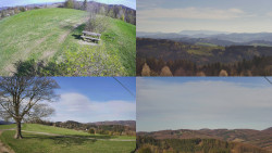 Sdružený snímek Bludný