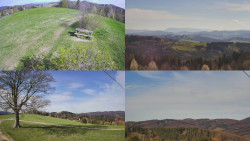 Sdružený snímek Bludný