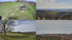 Sdružený snímek Bludný