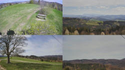 Sdružený snímek Bludný