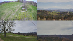 Sdružený snímek Bludný