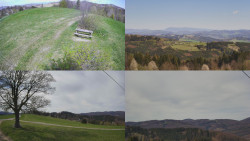 Sdružený snímek Bludný