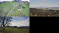 Sdružený snímek Bludný