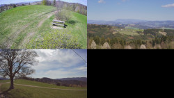 Sdružený snímek Bludný