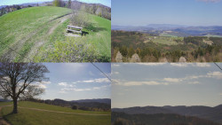 Sdružený snímek Bludný