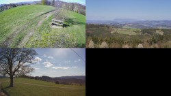 Sdružený snímek Bludný