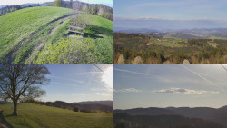 Sdružený snímek Bludný