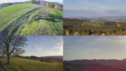 Sdružený snímek Bludný