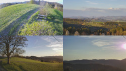 Sdružený snímek Bludný