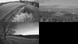 Sdružený snímek Bludný