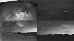 Sdružený snímek Bludný