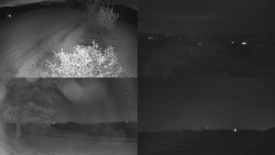 Sdružený snímek Bludný