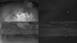 Sdružený snímek Bludný