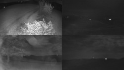 Sdružený snímek Bludný