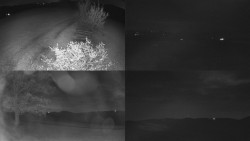 Sdružený snímek Bludný