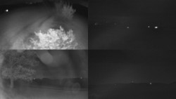 Sdružený snímek Bludný