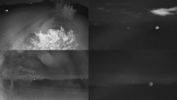 Sdružený snímek Bludný