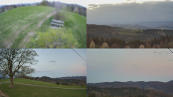 Sdružený snímek Bludný