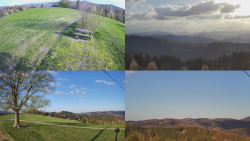 Sdružený snímek Bludný