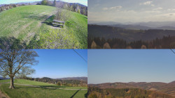 Sdružený snímek Bludný