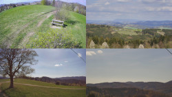 Sdružený snímek Bludný