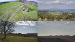 Sdružený snímek Bludný