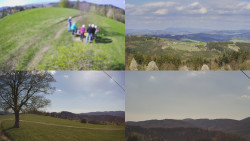 Sdružený snímek Bludný