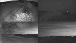 Sdružený snímek Bludný