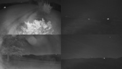 Sdružený snímek Bludný