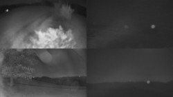 Sdružený snímek Bludný