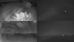 Sdružený snímek Bludný