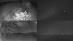 Sdružený snímek Bludný