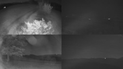 Sdružený snímek Bludný