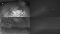 Sdružený snímek Bludný