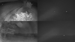 Sdružený snímek Bludný