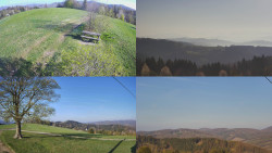 Sdružený snímek Bludný