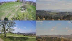 Sdružený snímek Bludný